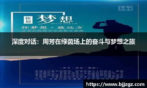 易游m6