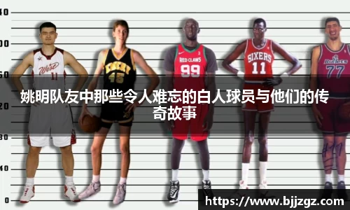 易游yy体育